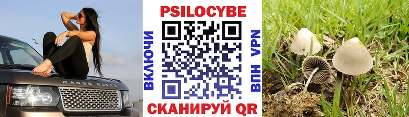 Галлюциногенные грибы ЛСД  Щёлкино 